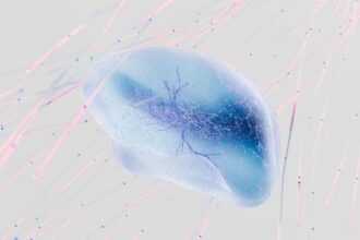 =Imagem ilustrativa sobre a implementação de inteligência artificial na saúde.